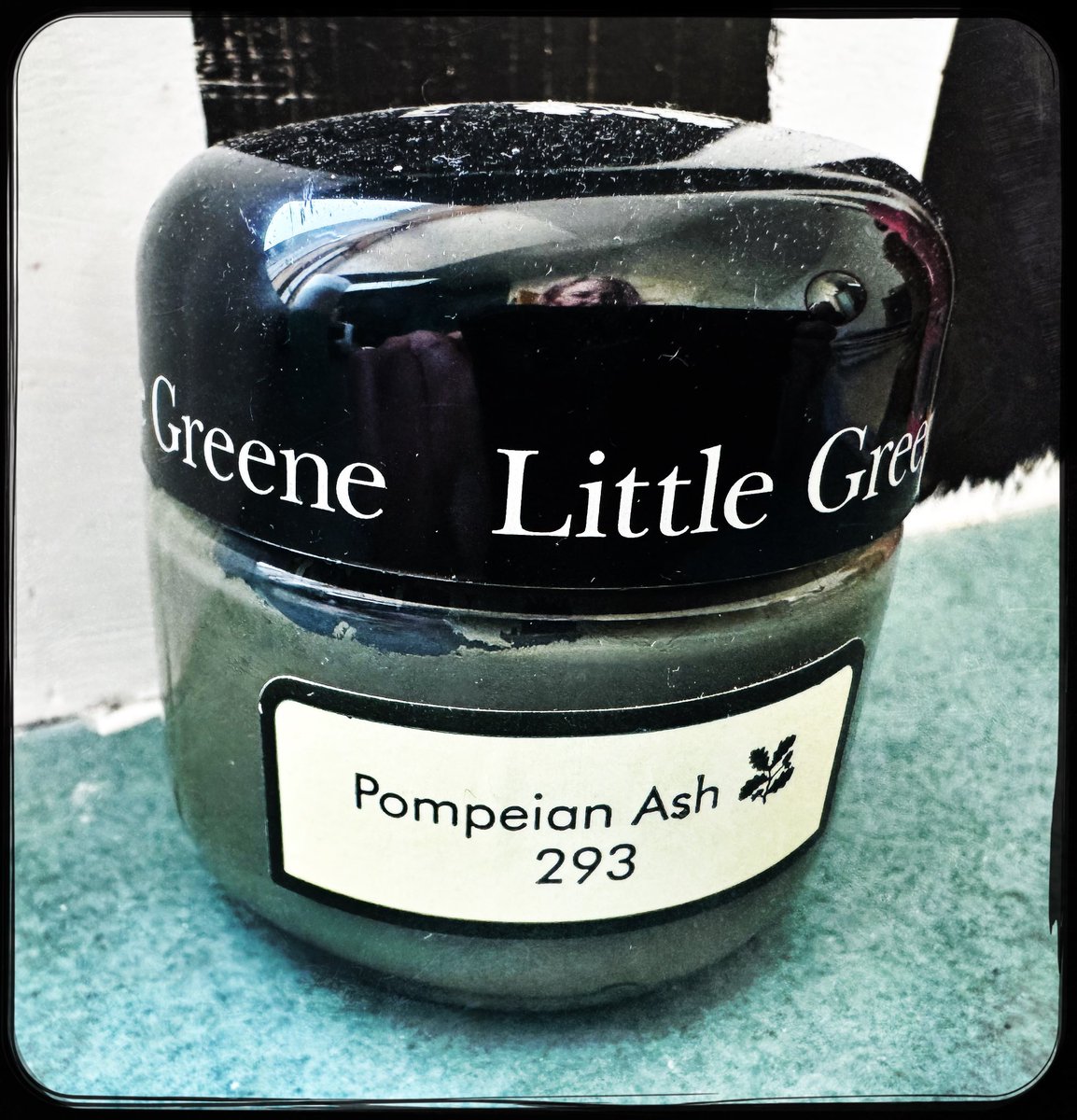 Prof Alice Roberts💙 tweet media