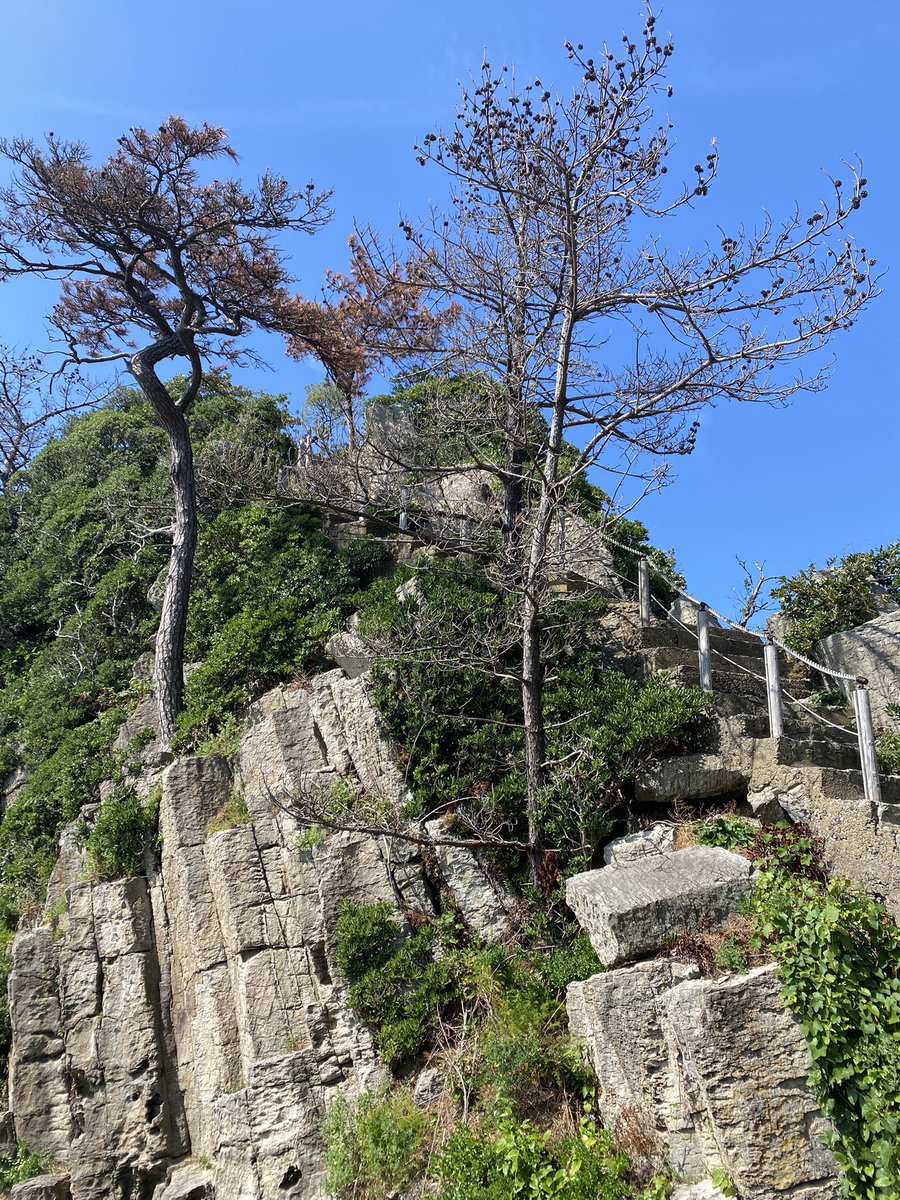 cafe_renta's tweet photo. 福井市南菅生にある鉾島神社へ行って来ました
#鉾島神社 https://t.co/d1eJWoHY59