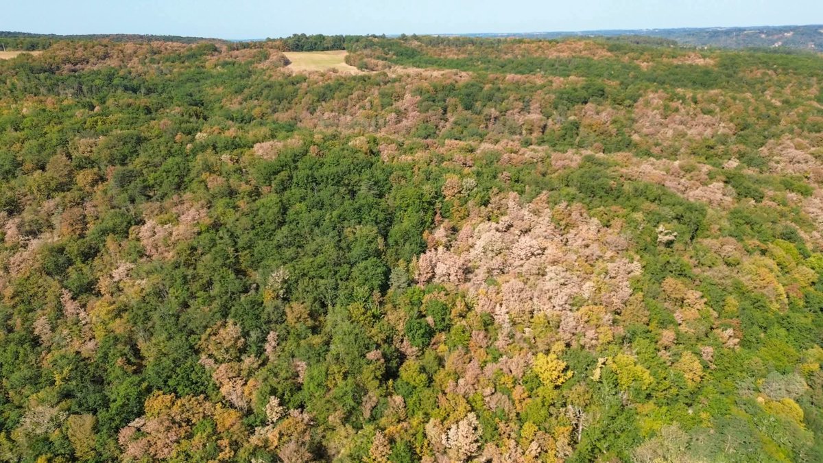 Dr. Serge Zaka (Dr. Zarge) tweet media