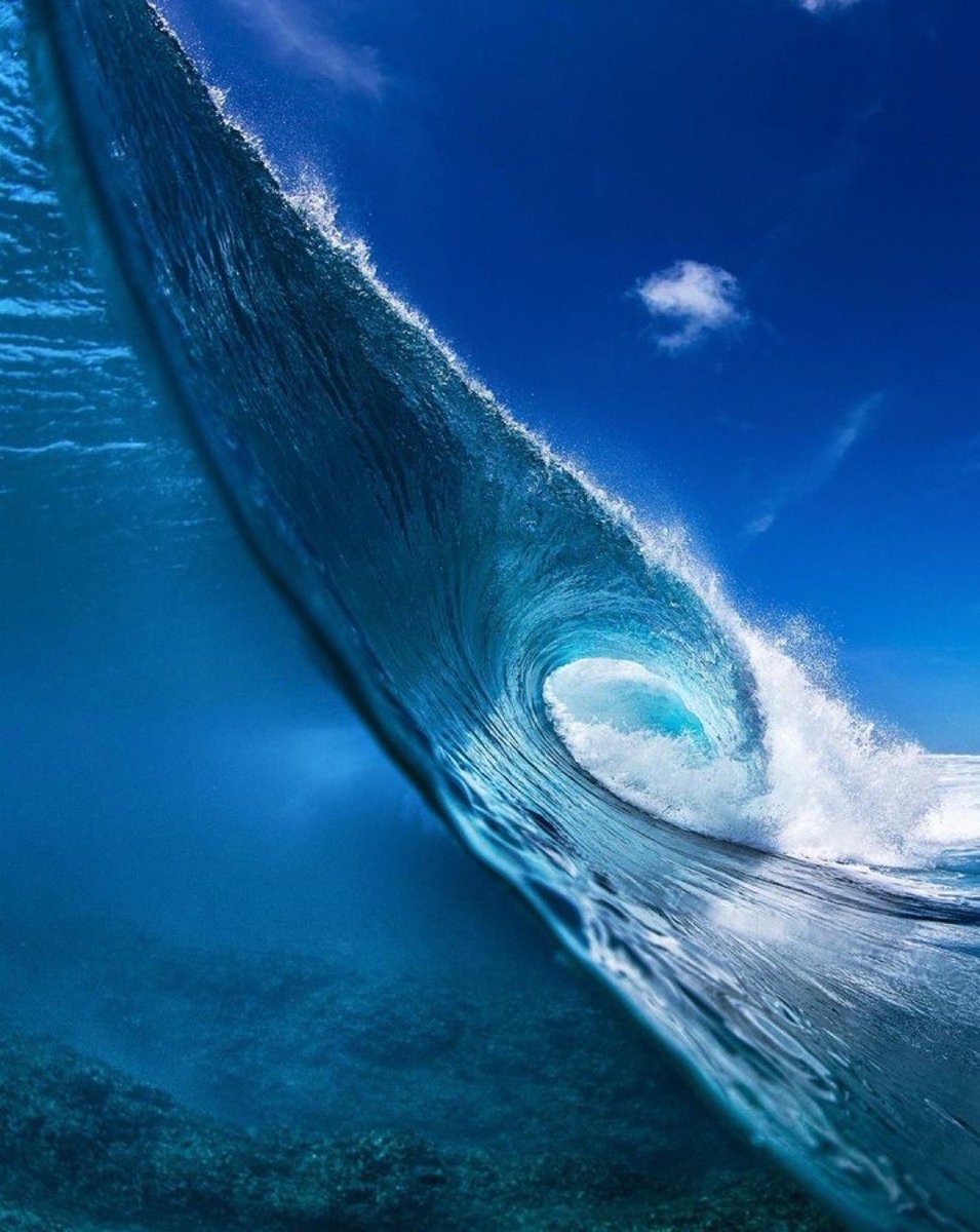 I hate when people say, 'you don’t owe anyone anything.’ Actually, no, I think as a bare minimum we owe each other basic human kindness and respect…it costs $0.00 to be a decent human being