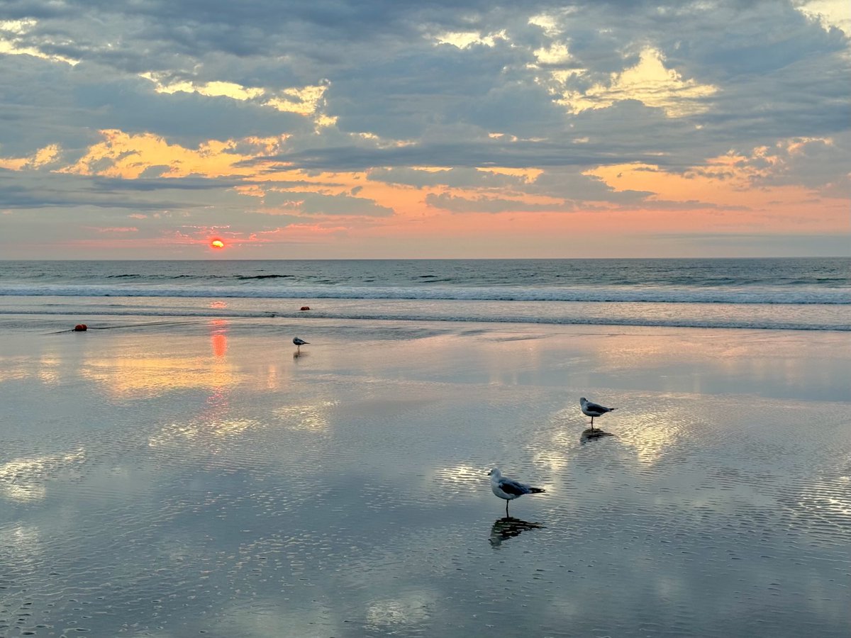 Realtor Rick 💙 (@rick03907) on Twitter photo Homer and family #ogunquit #maine <a href="/Todd_Gutner/">Todd Gutner</a> <a href="/SharonRoseNCM/">Sharon Rose</a> <a href="/TVLeeG/">LEE GOLDBERG</a> <a href="/RyanBretonWX/">Ryan Breton</a> <a href="/danaosgoodwx/">Dana Osgood</a> <a href="/StormHour/">#StormHour</a> <a href="/newscentermaine/">NEWS CENTER Maine</a> Homer and family #ogunquit #maine <a href="/Todd_Gutner/">Todd Gutner</a> <a href="/SharonRoseNCM/">Sharon Rose</a> <a href="/TVLeeG/">LEE GOLDBERG</a> <a href="/RyanBretonWX/">Ryan Breton</a> <a href="/danaosgoodwx/">Dana Osgood</a> <a href="/StormHour/">#StormHour</a> <a href="/newscentermaine/">NEWS CENTER Maine</a>