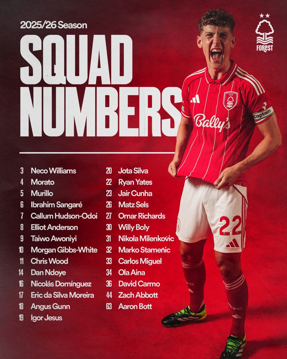 Forestmad 🔴⚪️ tweet media