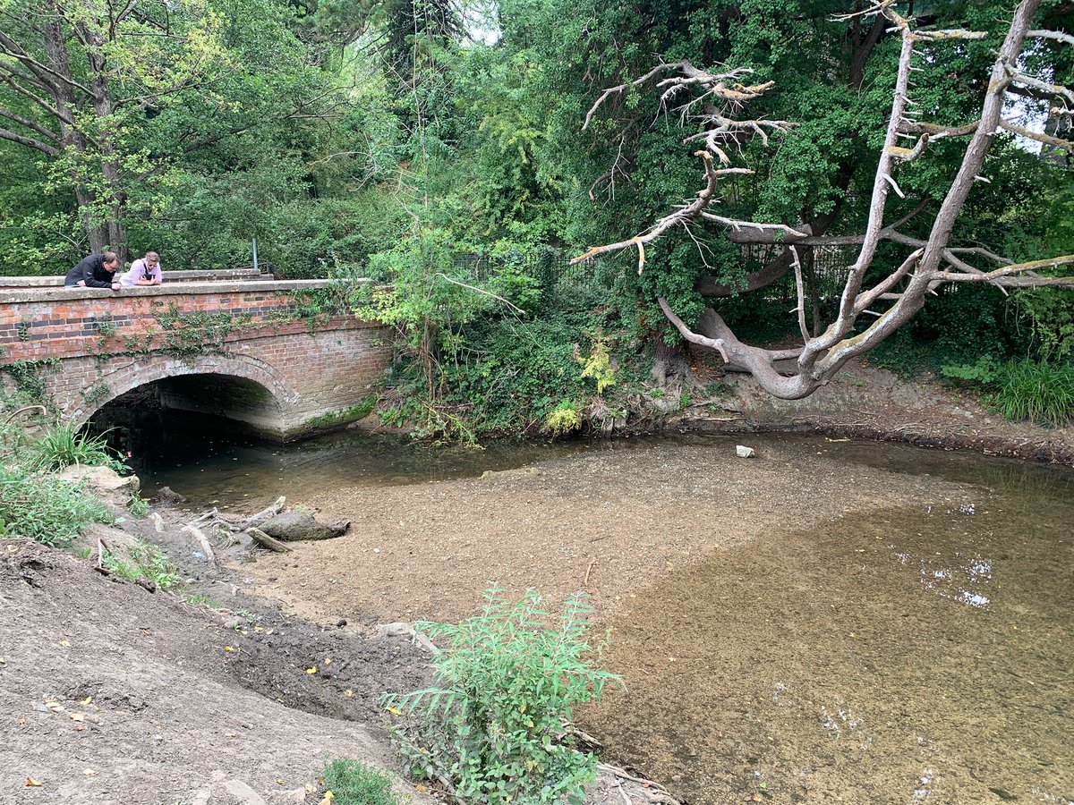 Barry Killner (@barrykillnerea) on Twitter photo Following a report of low flows on the River Frome #Stroud our <a href="/EnvAgencyMids/">Environment Agency Midlands</a> staff attended site to investigate. Persons unknown had blocked the flow using rocks so these were quickly removed by our #Gloucestershire field team, restoring the flow and protecting the #ecology Following a report of low flows on the River Frome #Stroud our <a href="/EnvAgencyMids/">Environment Agency Midlands</a> staff attended site to investigate. Persons unknown had blocked the flow using rocks so these were quickly removed by our #Gloucestershire field team, restoring the flow and protecting the #ecology