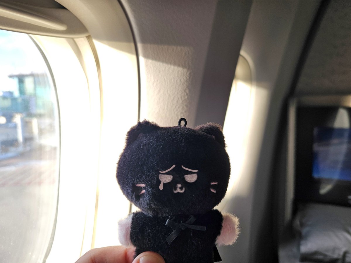 아 한국 와버렸어😭