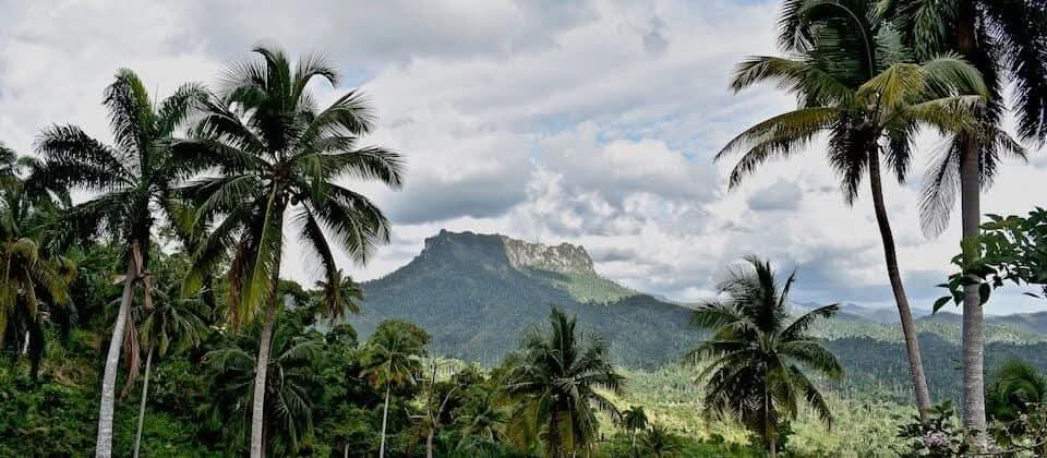 EduardoLopezL65's tweet photo. Entre ríos, montañas y leyendas, esta Villa primera nos invita a redescubrirla con cada paso.
¡Felicidades, Baracoa! Que sigas siendo faro de identidad, belleza y resistencia.
Tu historia nos honra, tu presente nos inspira.
#Cuba #Baracoa512 #CiudadPrimada #Guantànamo https://t.co/UGd5nMXQBU
