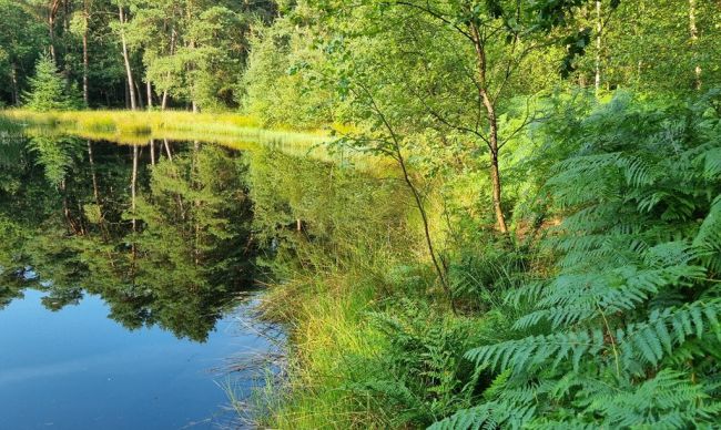 Weerpraatje Jan Visser janvissersweer.nl/weerpraatje-ac… Warmte tijdelijk terug in delen van Noord-Europa. Het Zweedse Målilla meldde tegen de middag 31,5º. Echter: uitdiepende depressie boven de Noorse Zee met bestemming Lapland veegt dit weekeinde de vloer aan met de warmte. Foto uit