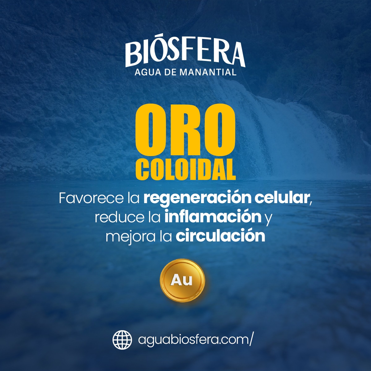 aguabiosfera's tweet photo. 💧 Oro líquido para tu bienestar. Agua Biósfera te hidrata con la pureza del manantial y el poder natural del oro coloidal.
#AguaBiósfera #OroColoidal #Piñas #aguademanantial https://t.co/GYXrt4yVTV