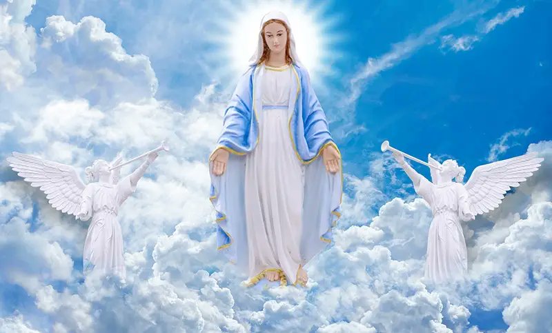 On this Feast of the Assumption, ICK Management prays for blessings upon our students, staff, alumni, and community. 

May the Virgin Mary guide us in faith, hope, and love. Happy Assumption Day! 🙏

 #AssumptionDay