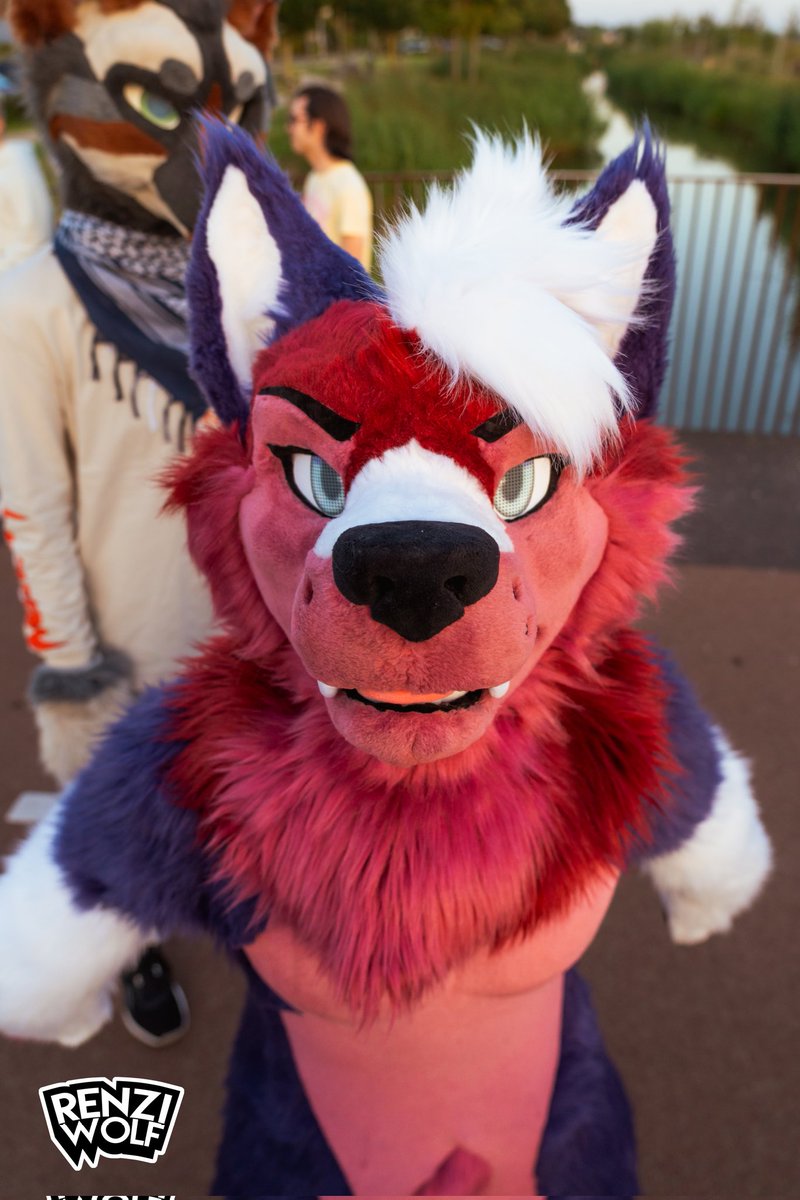 *Stares at you like this* 👀 

#FursuitFriday
📸 <a href="/RenziWolf/">Renzi Wolf</a>