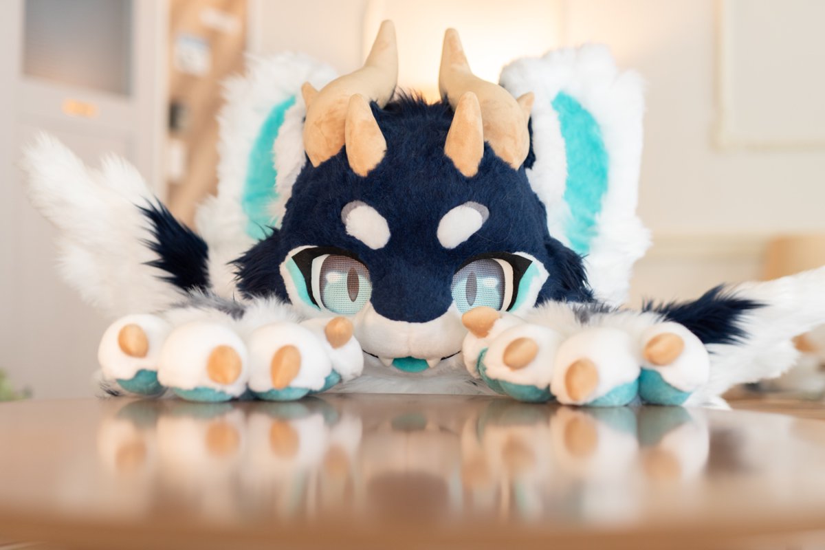 월요일이야! 주말은 잘 쉬었어? 이번주도 화이팅입니다~!
#FursuitEveryday