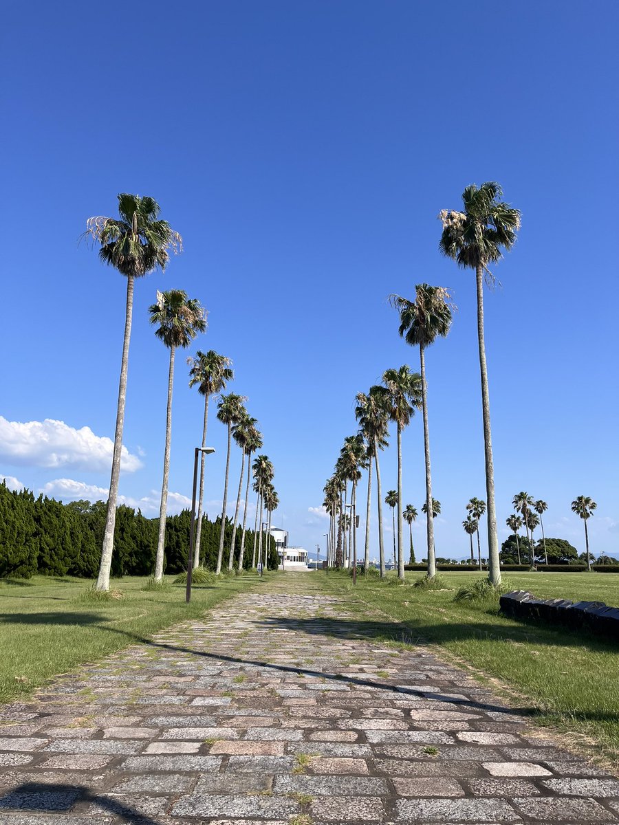 aui_u_u's tweet image. 夏終わらないで欲しい〜(((って気持ちも少しある

#日常垢 #日常垢さんとつながりたい