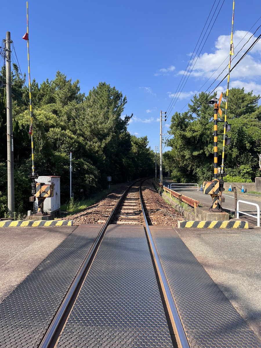 aui_u_u's tweet image. 夏終わらないで欲しい〜(((って気持ちも少しある

#日常垢 #日常垢さんとつながりたい