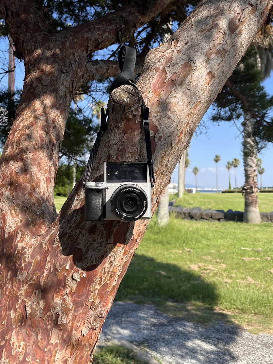 aui_u_u's tweet image. 夏終わらないで欲しい〜(((って気持ちも少しある

#日常垢 #日常垢さんとつながりたい