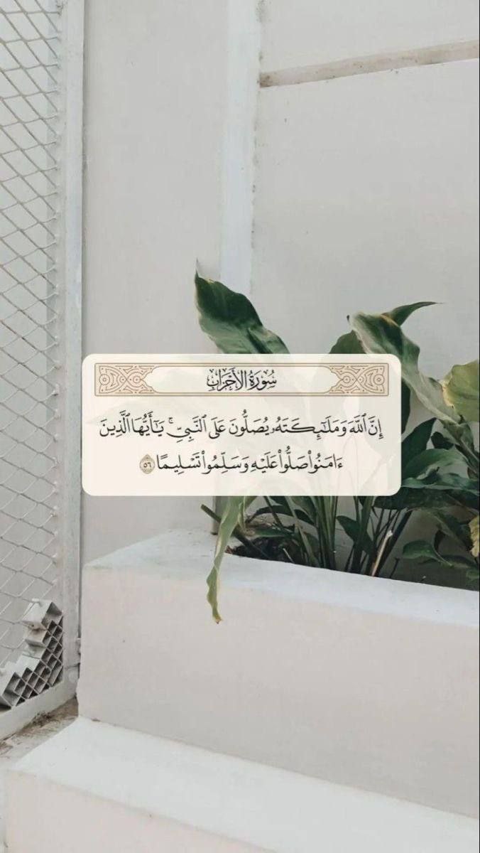 #يوم_الجمعه
اللهم في يوم الجمعة ..
ارزقنا رزقًا لم نتوقعه وخيرًا لم نفكر به واستجابة لدُعاء نكرره دائمًا يارب العالمين ، و ارزقنا البشائر التي نحب والأيـام التي تسـر والـرحمات التي تتوالـىوالعافية التي ننعم بها واليقين الذي يريح القلب...