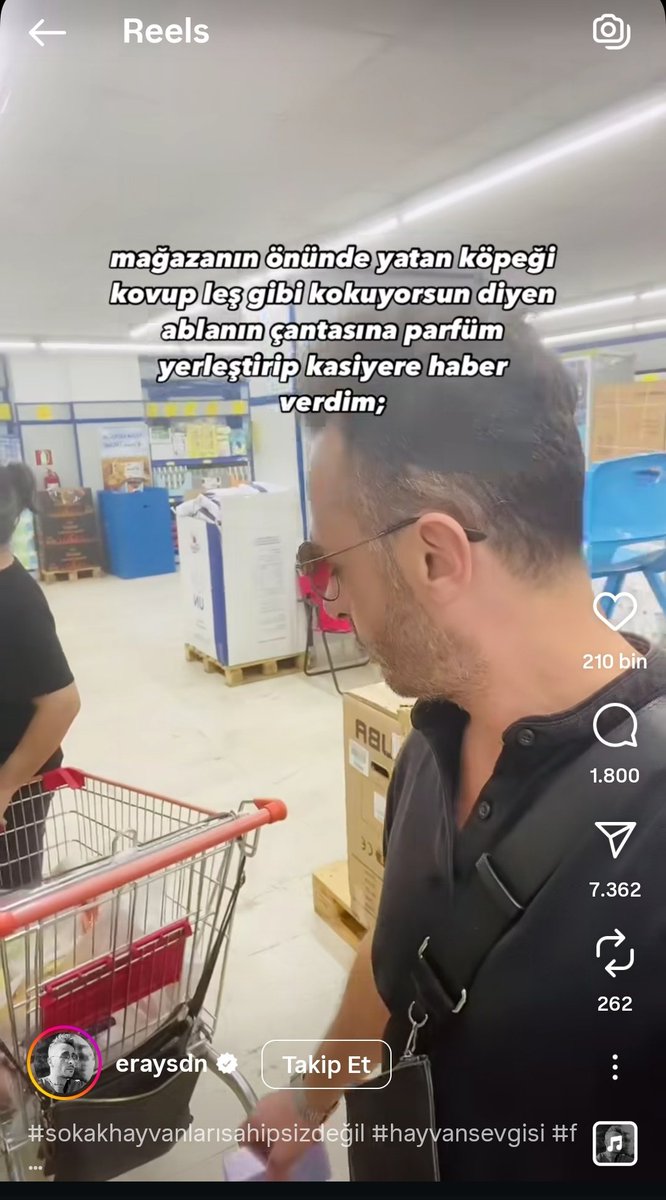 Siz başıboş köpek savunucularını yeterince tanımıyorsunuz. Neler yapabileceklerini tahmin bile edemezsiniz.