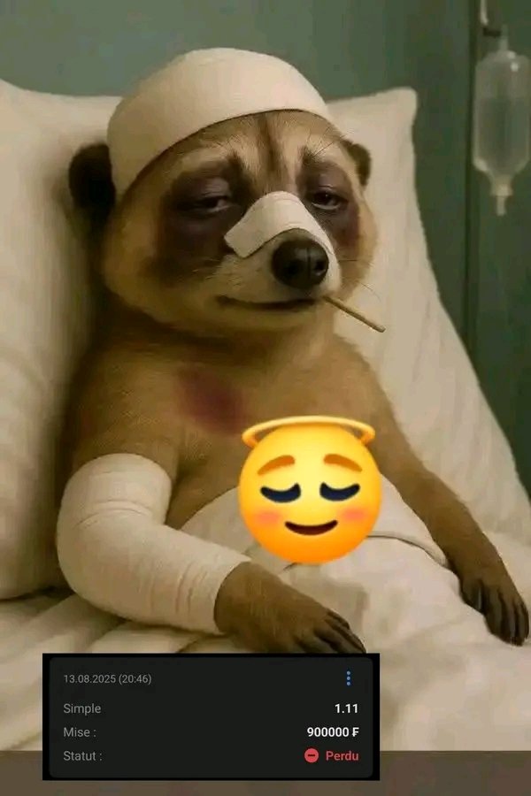 x.com/BabyDogeCoin?t… depuis 2022 babydoge se sent pas bien plus de 8 maladie différents dans son corps qui n'arrive pas à guérir triste nouvelle pour lui 😔 plus 4 ans maintenant bonne guérison à toi #babydoge 😏😏😏😔😔😔🥺