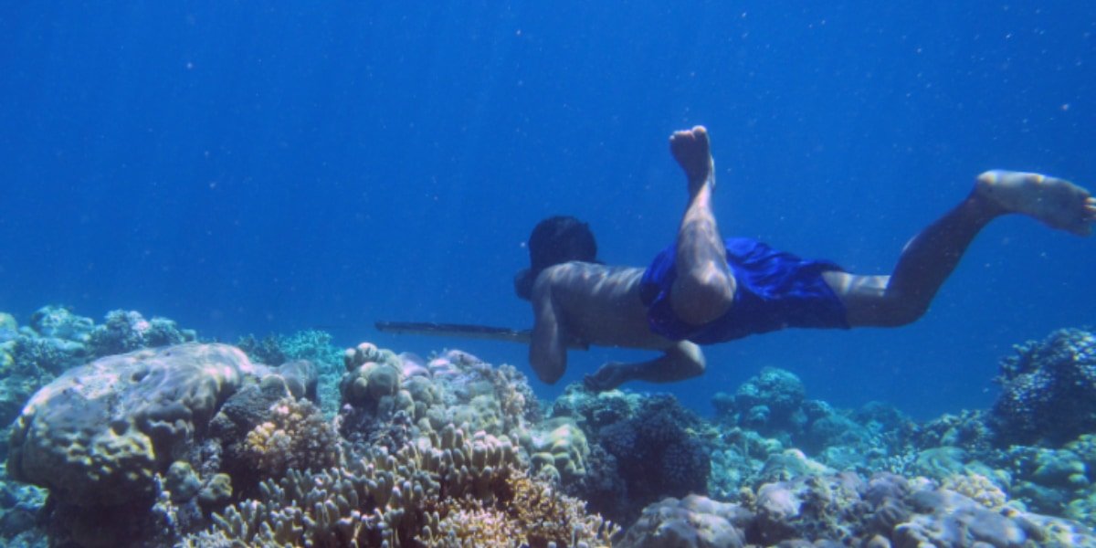 水深70mに15分留まれる！ヒトが水中適応した進化の実例「海の遊牧民バジャウ族」
nazology.kusuguru.co.jp/archives/117869

主に船上で暮らす海の遊牧民インドネシアのバジャウ族。デンマークUCは水中に長く留まる能力と関連する脾臓が彼らは共通して大きいと報告。人が遺伝的に水中生活に適応した初の事例です