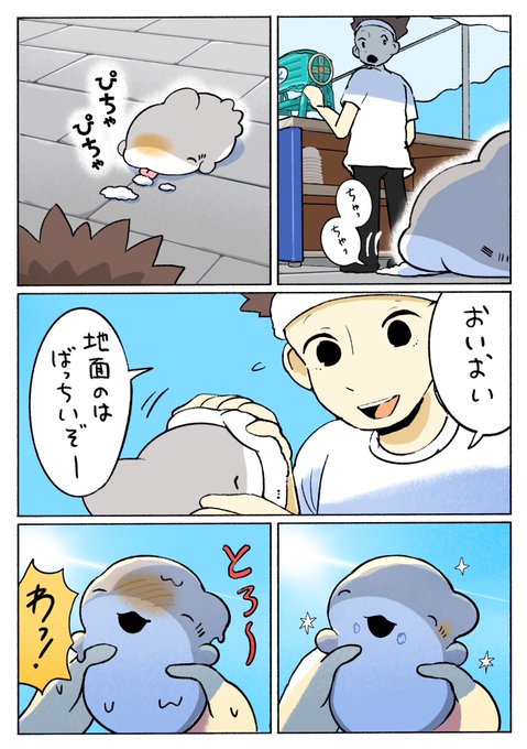 子ザメのひとりぐらし はじめてのかき氷 2/3 | ペンギンボックス