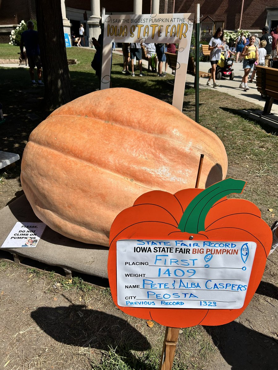 tgrundmeyer's tweet photo. The butter cow, biggest bull, and heaviest pumpkin are must-sees at the @IowaStateFair but don’t stop there! Head up to the 2nd floor of the Ag Blding & discover some of the biggest, most beautiful geodes you’ve ever seen. #RockinIt https://t.co/3lV91n3IpT