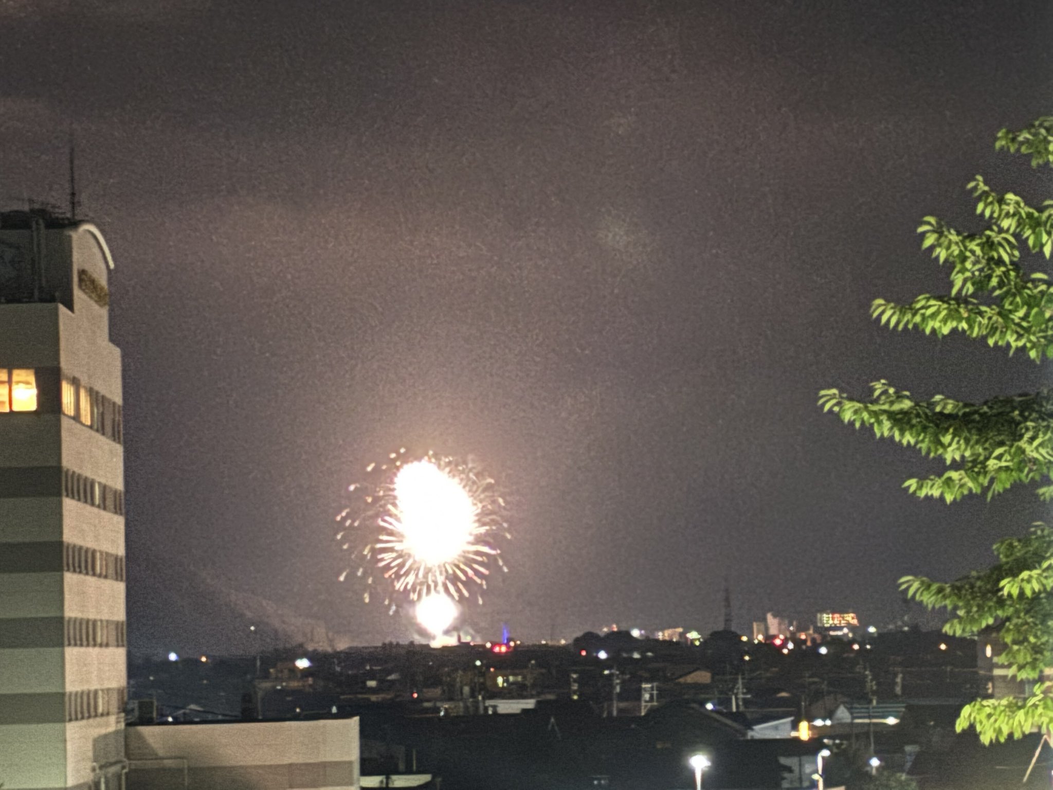 花火 夜空に咲くキセキの花🎇大曲の花火 2025 version）』TEAM AKITA
