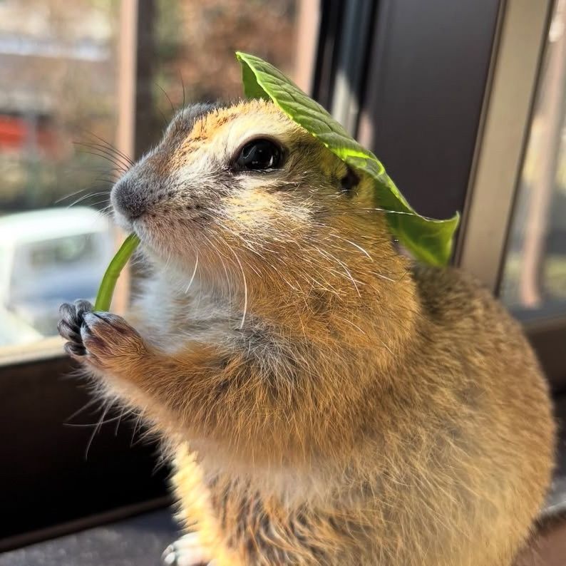 DmbA4GHd8KcVkpfh9JigD465WWS7z7WAQbaocqjipump