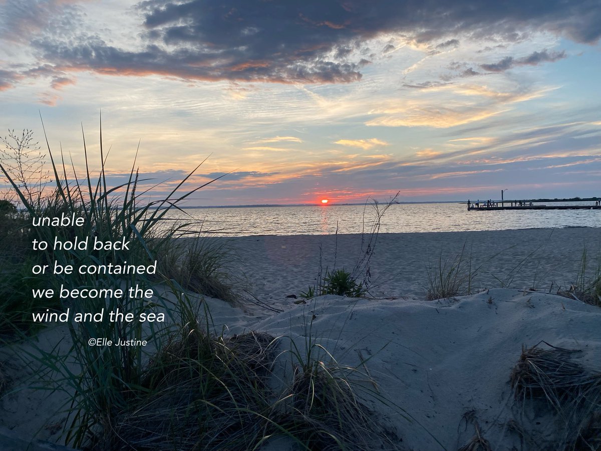 unable
to hold back
or be contained
we become the 
wind and the sea…