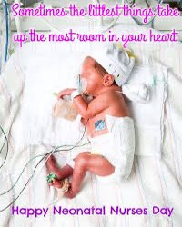 Neonatal Unit - Dudley Group NHS tweet media