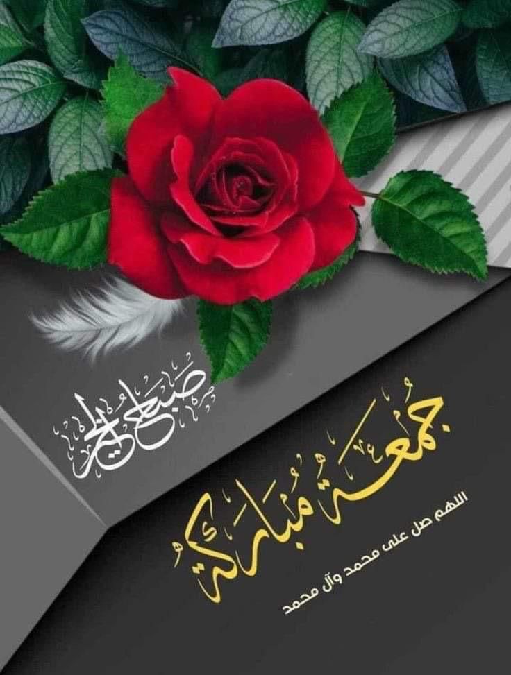 عفت عطاالله (@efat1978) on Twitter photo 