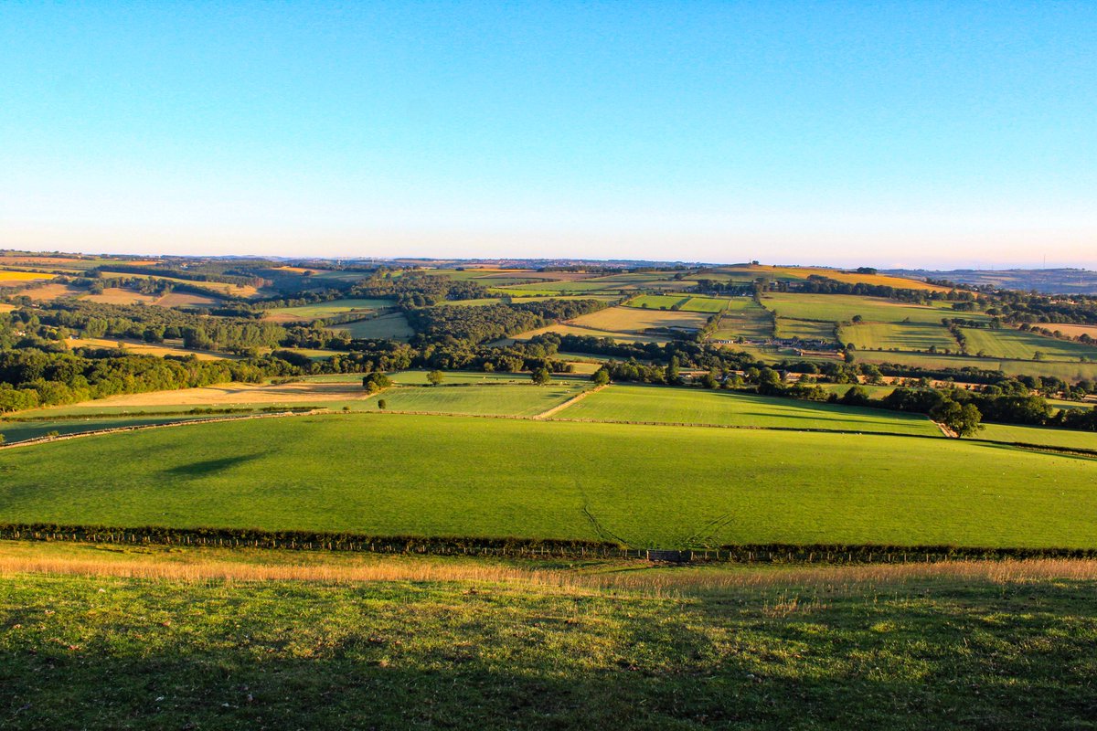 Chainsaw_McGinn's tweet image. Very much enjoyed my 21 miles of dawn cycling in rural Co Durham this morning. That set me up for the day. #cycling #CoDurham #DH7