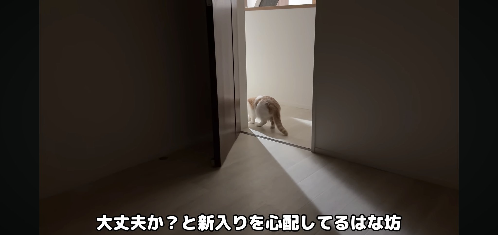 ⭐︎にゃむ⭐︎ページ♡ Posts with replies by フォウ (@EMs5B5rXk3nxWbS) / X