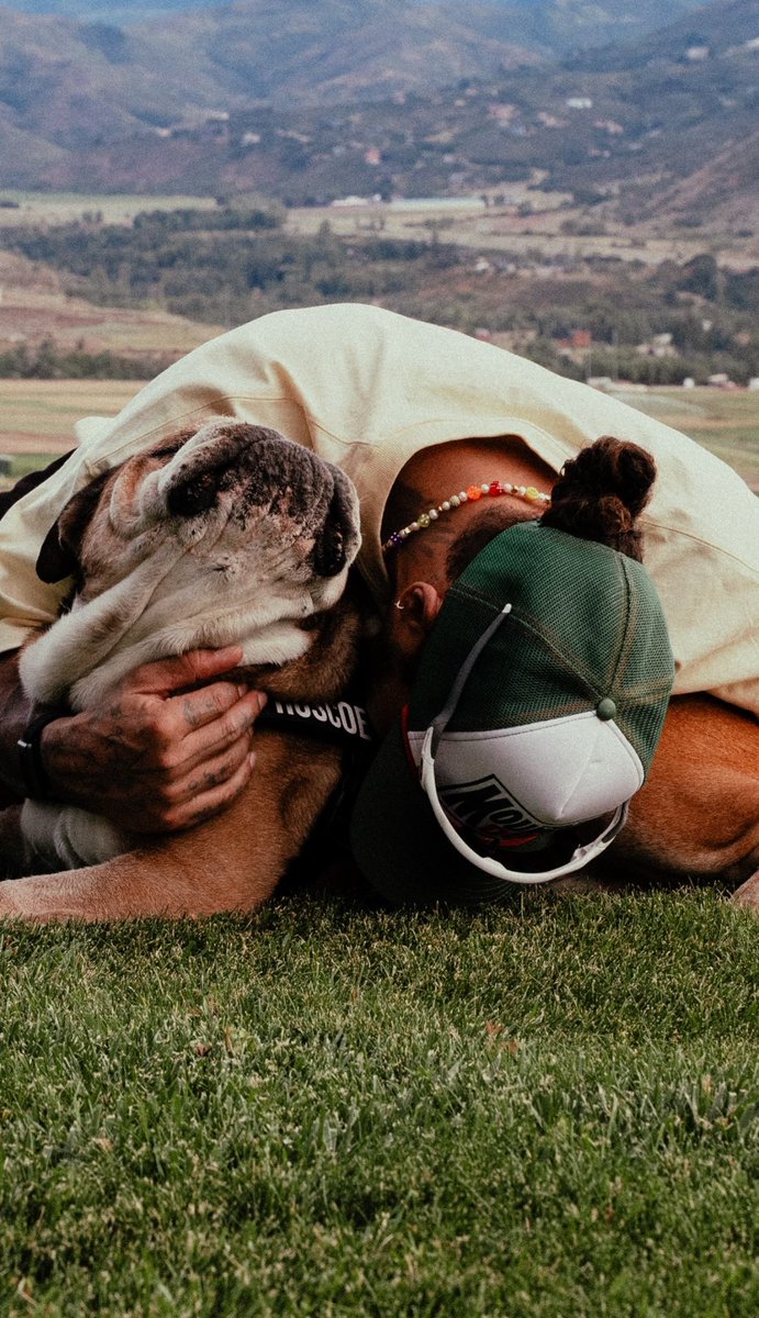 LH44NEWS's tweet photo. Lewis e Roscoe 🥹💗 https://t.co/LdpChnvqMg