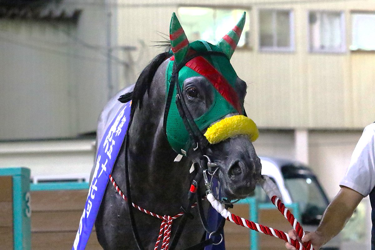 てるりん様 てるりん様