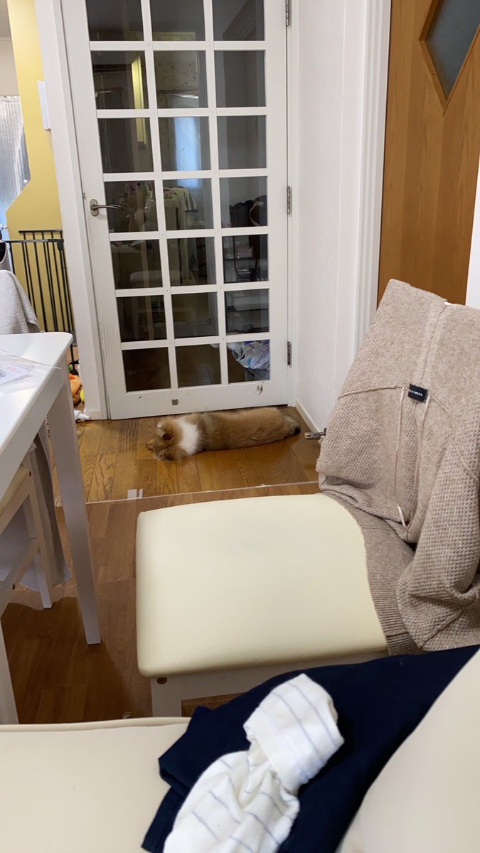 そこで寝ないでーー