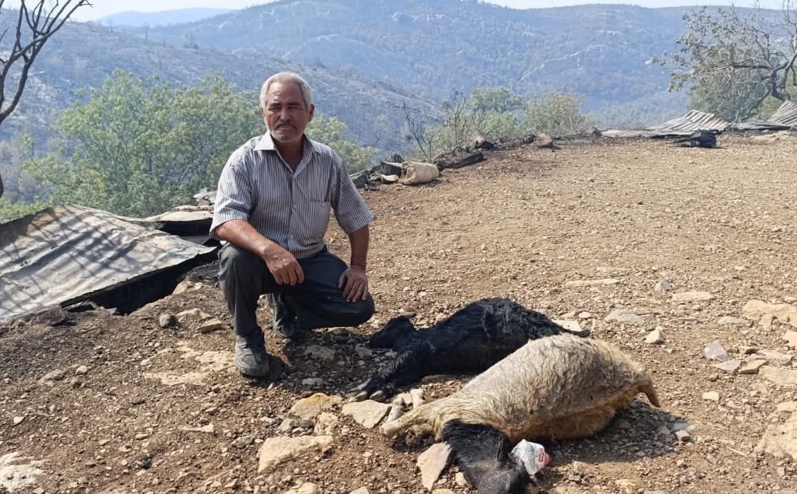 nocontextsilifk's tweet image. Yangından geriye kalanlar.
Evsiz ve yurtsuz yörükler, ağaçsız dağlar ve çaresizlik. 
Geçmiş olsun Silifke…