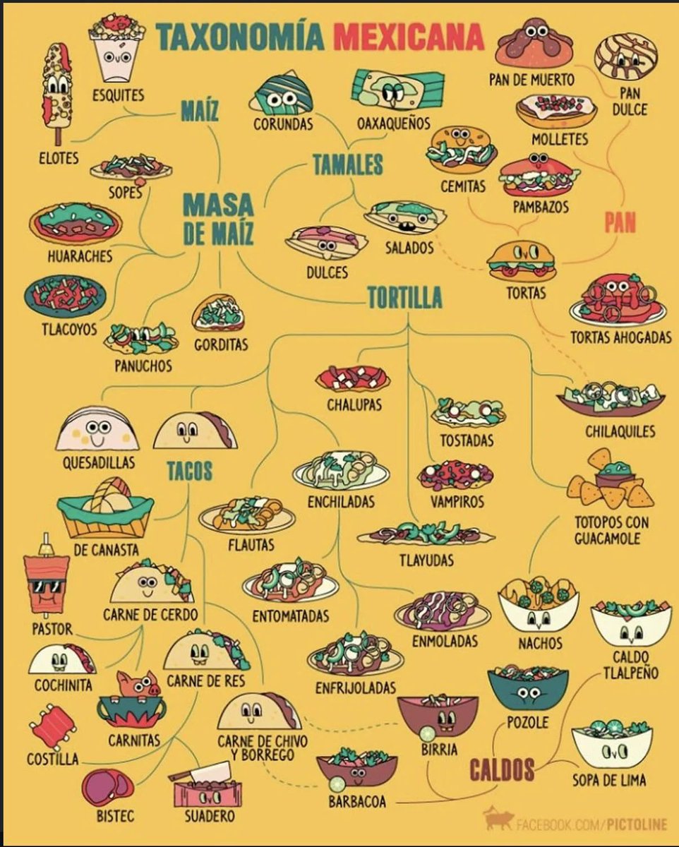 fasc1nate's tweet photo. A cool guide to Mexican food https://t.co/FOpAcjEv1k