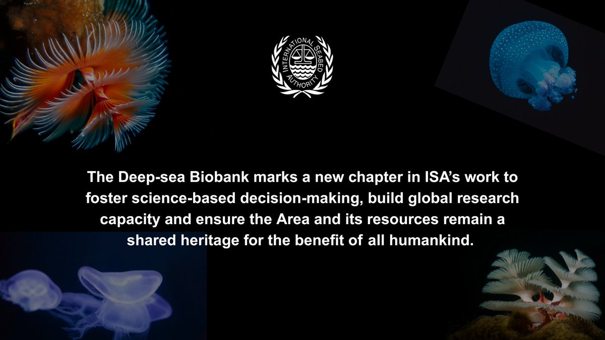 ISBAHQ's tweet image. 🪸 ISA is establishing a global repository of deep-sea biological samples and genetic data collected from the Area to promote deep-sea research and scientific collaboration, especially for developing States.

🔗 Learn more about the ISA DBI: bit.ly/454KGsp

#DeepSeabed