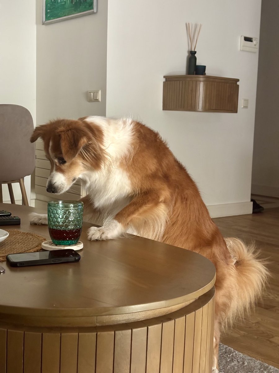 aperolandsoda's tweet photo. Co jemy? 🙈😂
Piggy ♥️
A Wy już po czy jeszcze przed obiadkiem? Czy w taki gorąc odpuszczacie?
#latko #weekend https://t.co/fQgY3XZj3d