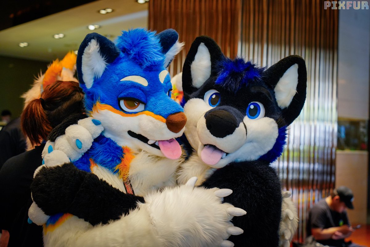 Luka ➡️ UTFG 🇹🇼 (@lukathefox) on Twitter photo Help! I'm going to be eaten!😨
🐺: <a href="/LarsHagrid/">LarsHagrid🐺 🔜 Infurnity 🔜 FC</a>
📸: <a href="/lazyskylar/">☁️ Skylar ☁️ ➡️ FURUM</a>
#FursuitFriday Help! I'm going to be eaten!😨
🐺: <a href="/LarsHagrid/">LarsHagrid🐺 🔜 Infurnity 🔜 FC</a>
📸: <a href="/lazyskylar/">☁️ Skylar ☁️ ➡️ FURUM</a>
#FursuitFriday