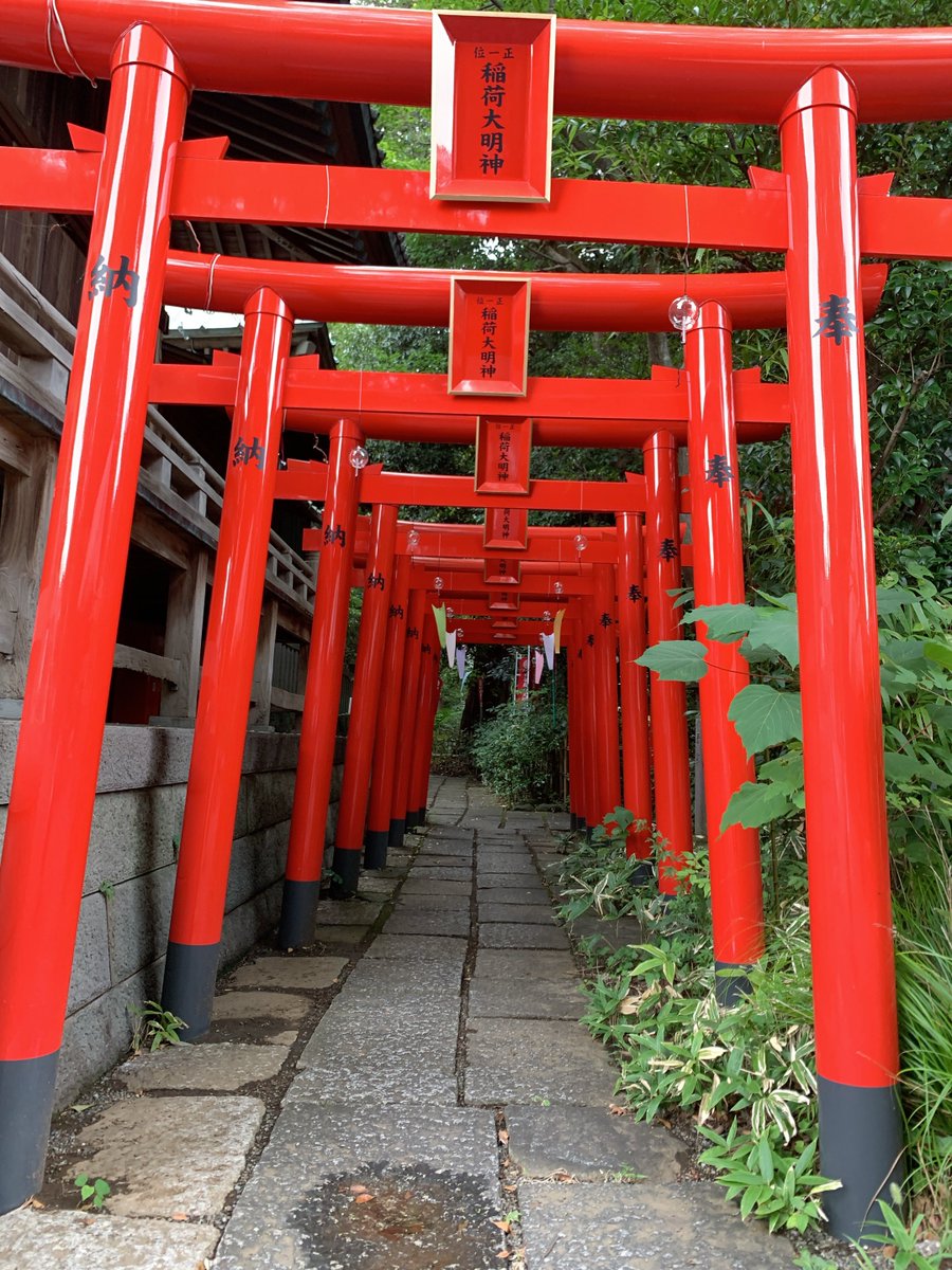 神奈川 白笹稲荷神社

切り絵めっちゃ悩んだけど今回は保留…

鳥居の管理行き届いていそうな真紅感で良き⛩

 #御朱印 
 #白笹稲荷神社 
 #神奈川  #秦野
