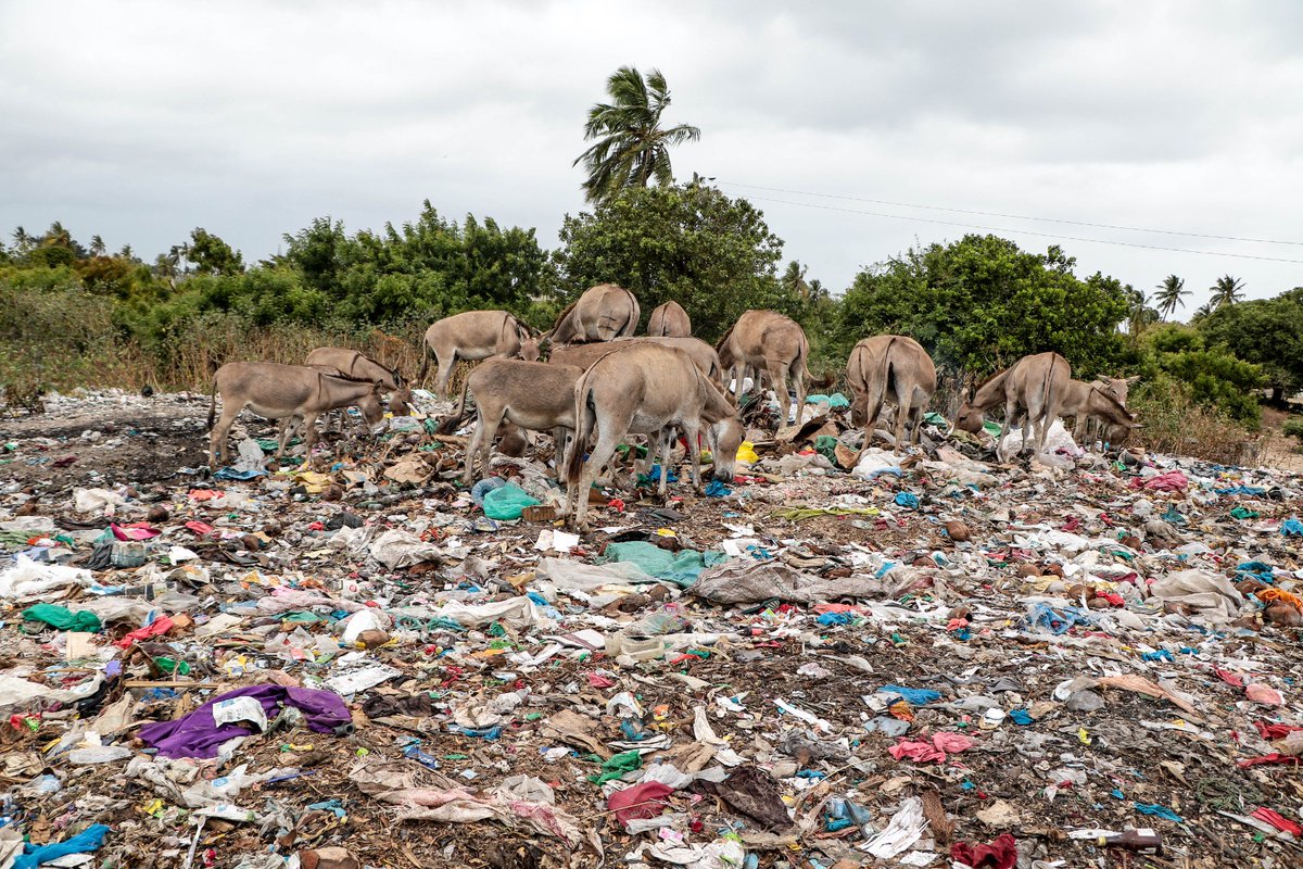 I've been closely following the #PlasticsTreaty negotiations in Geneva, hoping for a positive outcome. Unfortunately, no agreement was reached. But the absence of a deal doesn’t mean we give up, we must continue the fight! Plastic pollution has invaded every corner of the earth,