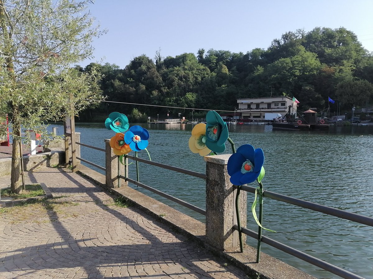 morianisergio's tweet photo. #Ferragosto I veri protagonisti di un luogo immerso nella natura. A reclamare col loro canto l'attenzione degli occasionali avventori. #Imbersago #Lecco @inlombardia https://t.co/kpUyxoGVPG