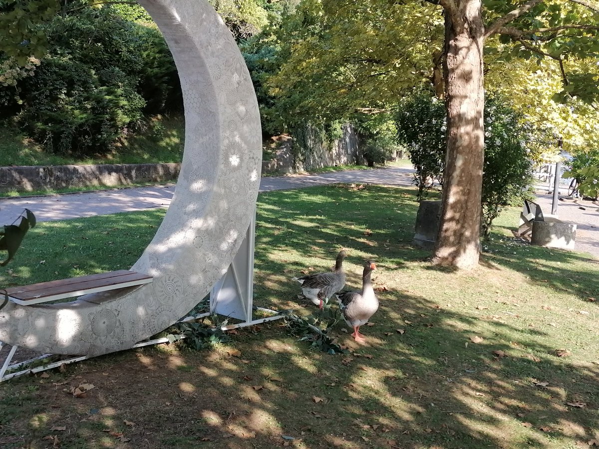 morianisergio's tweet photo. #Ferragosto I veri protagonisti di un luogo immerso nella natura. A reclamare col loro canto l'attenzione degli occasionali avventori. #Imbersago #Lecco @inlombardia https://t.co/kpUyxoGVPG
