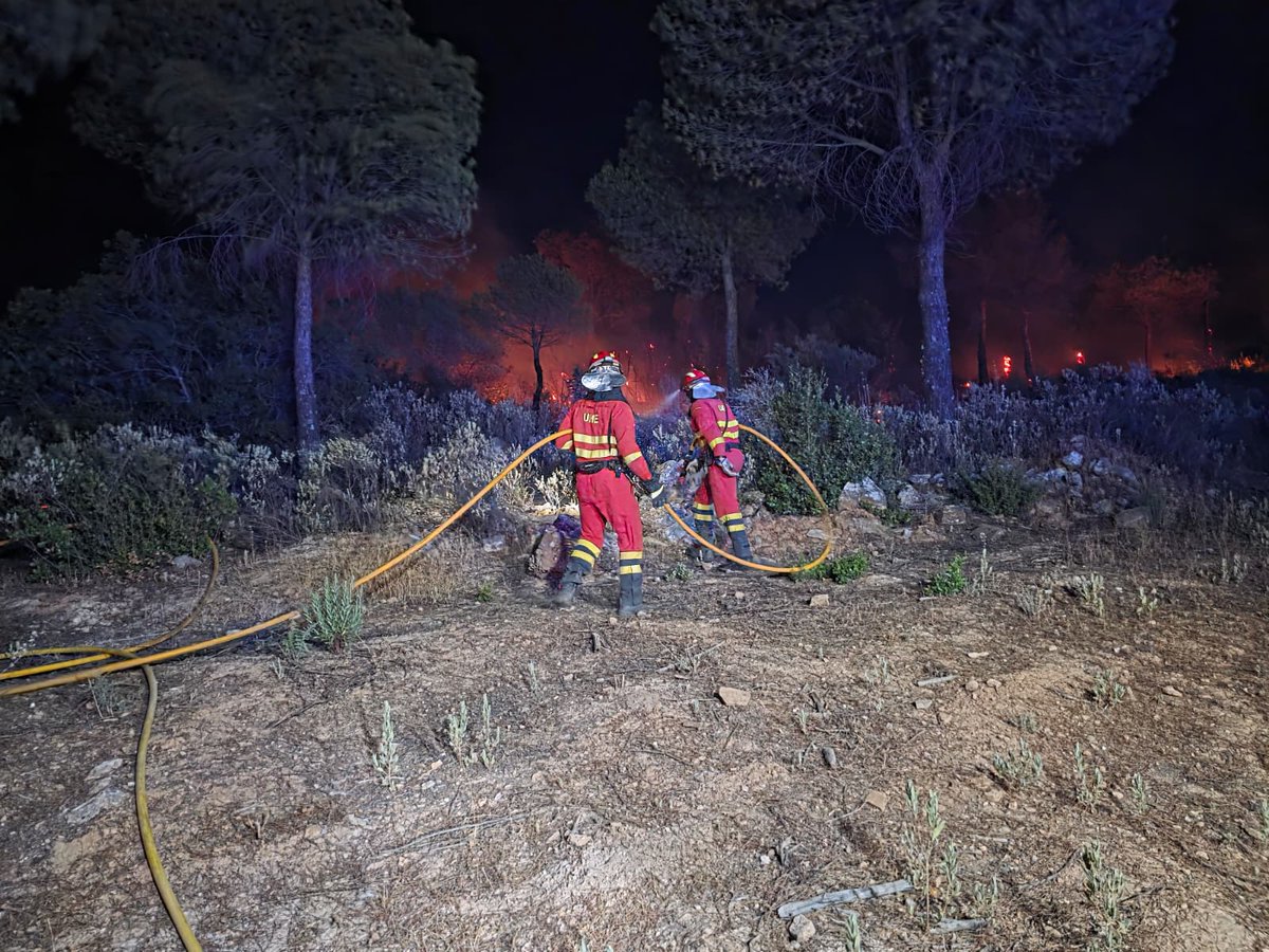 🚒 🔥Militares de la <a href="/UMEgob/">UME</a> en trabajos de ataque directo contra el fuego. 
📍Ourense
#IFRequeixoChandrexadeQueixa
📍Badajoz
#IFLlerena

👏 Solidarios. Siempre sumando. Siempre presentes.