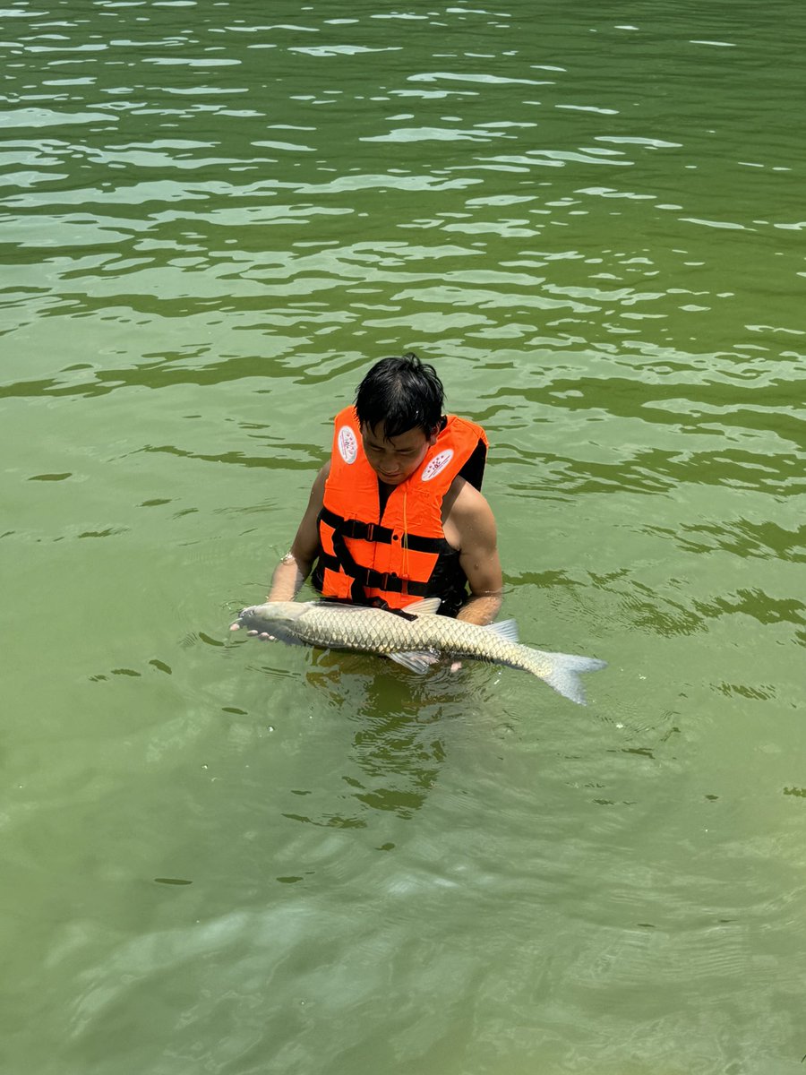 刚认识的钓友
钓了一个20+的草鱼
太牛掰了
贵州这边野生草鱼60一斤
别问为啥这么贵
因为边上就是茅台
有钱人太多了😂
200u又到手了
比我撸合约还赚钱