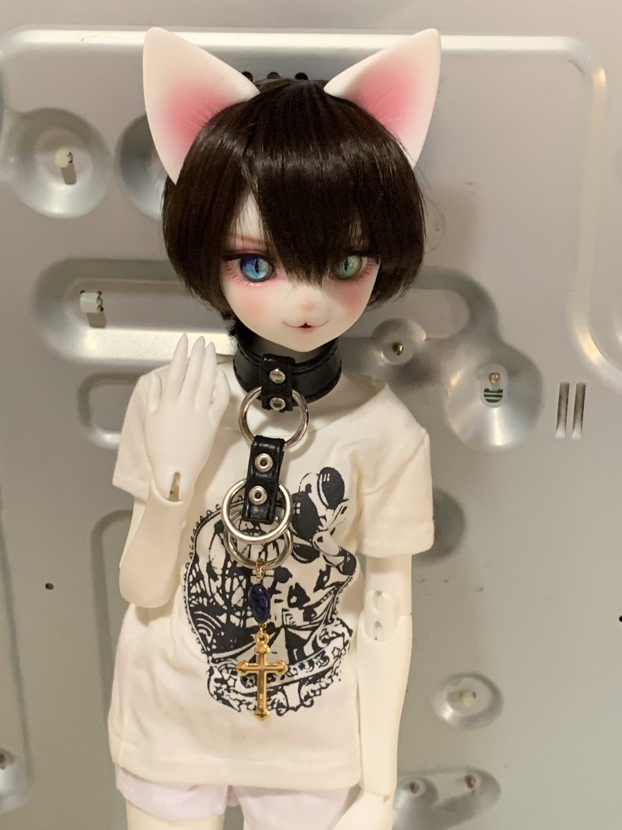 Que_sera_2's tweet photo. @lunarecroce そして出無精なお猫様にも出ていただき撮影を！？(旦那何処行ったぁ https://t.co/kVYmkcsnk5
