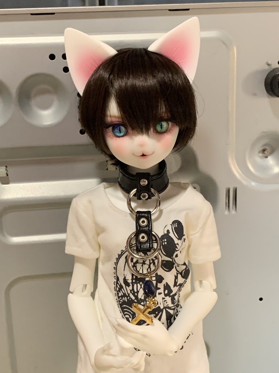 Que_sera_2's tweet photo. @lunarecroce そして出無精なお猫様にも出ていただき撮影を！？(旦那何処行ったぁ https://t.co/kVYmkcsnk5
