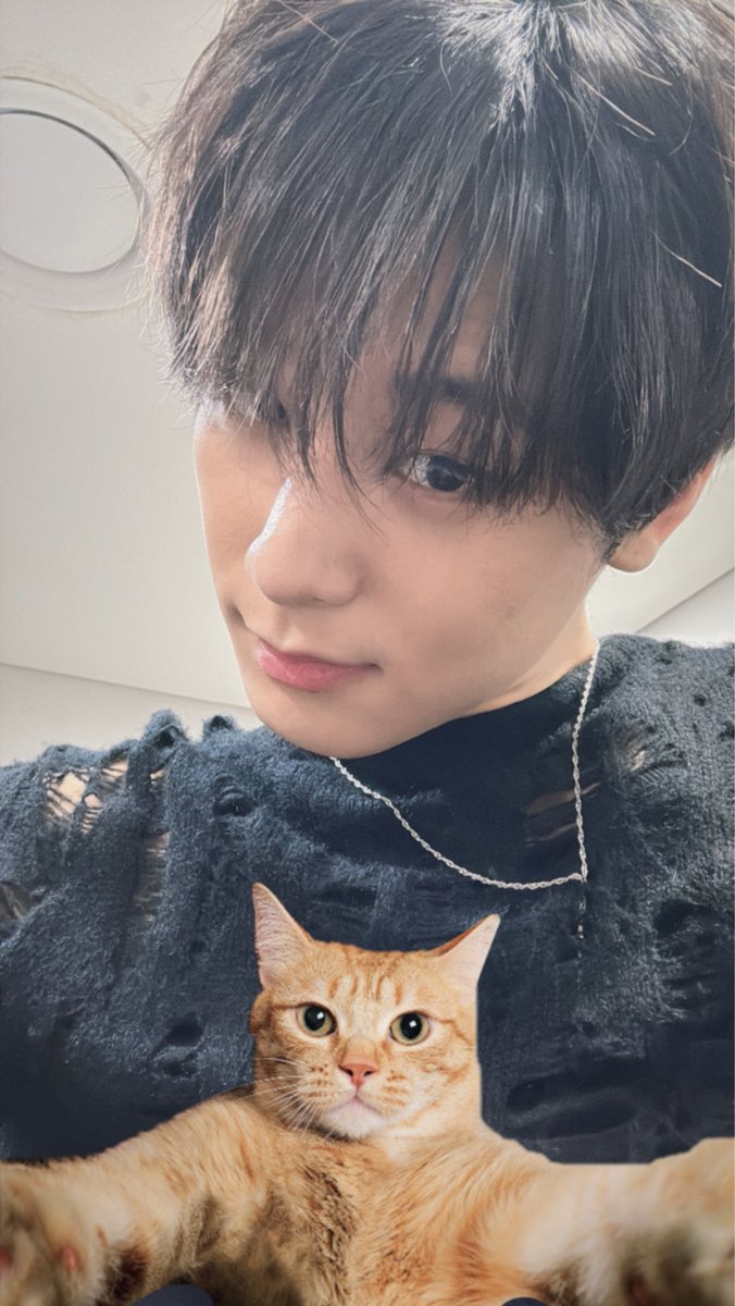 115kitten's tweet photo. 아 제발 이 때 생각나 ㅠㅠㅠㅠㅠㅠ
2년전에 올려줬던 똑같은 고양이 필터
여전한 쥬냥이 😻😻😻😻 https://t.co/guXvJugkkZ