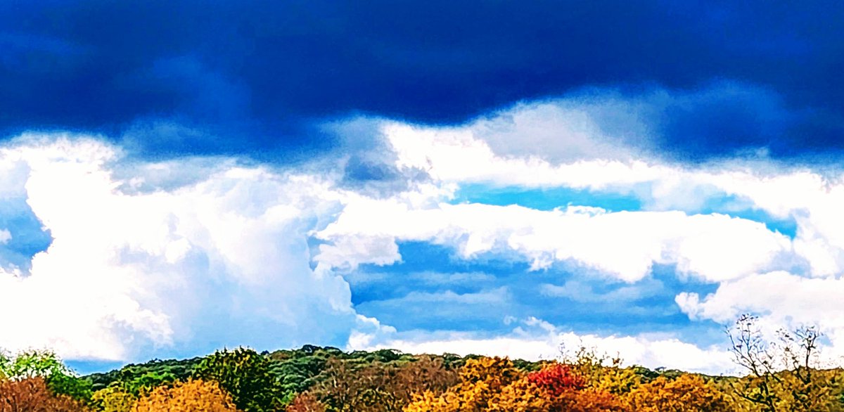 🌤 FINALLY FRIDAY 🌳🍂🌲🍃