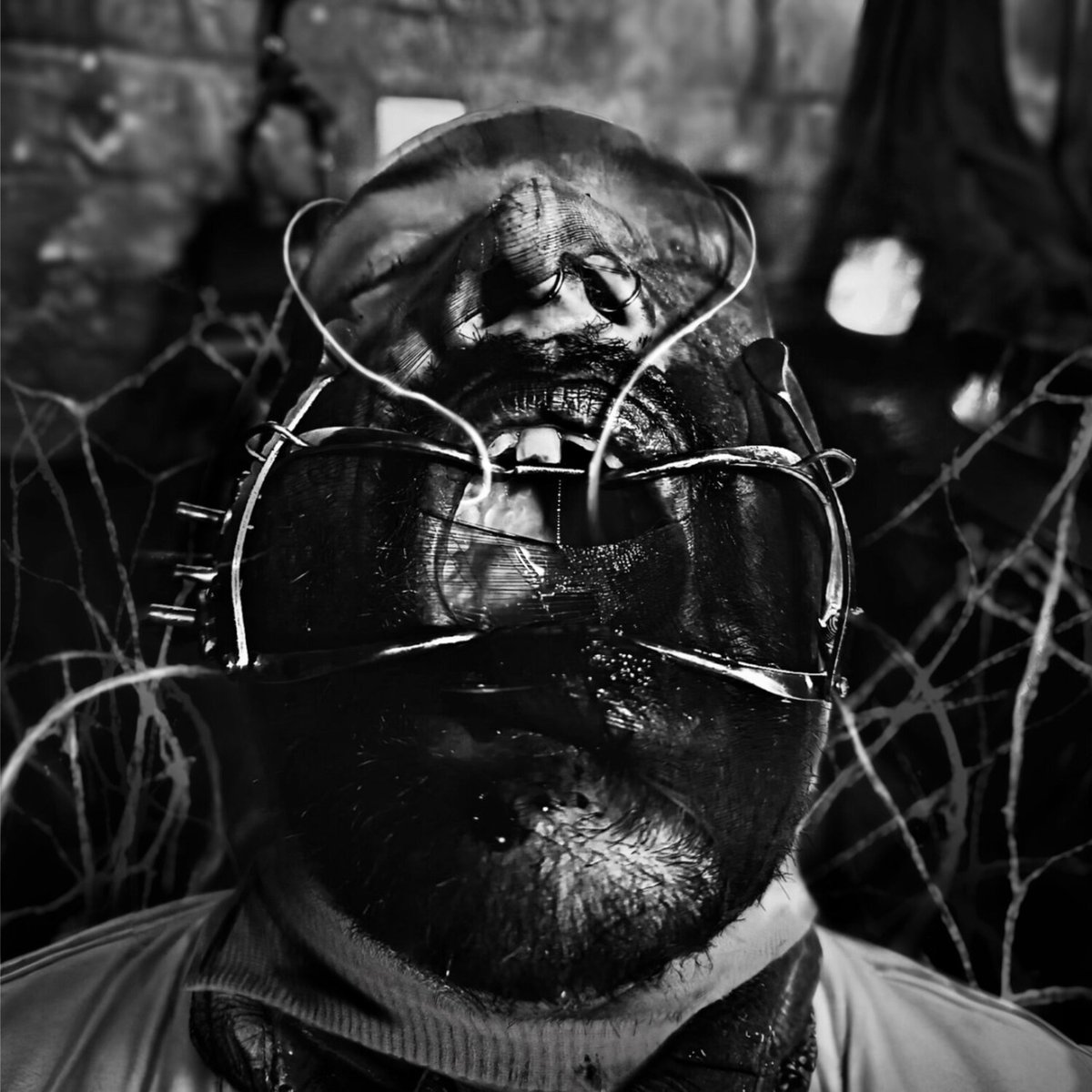 Arash Khosronejad tweet media