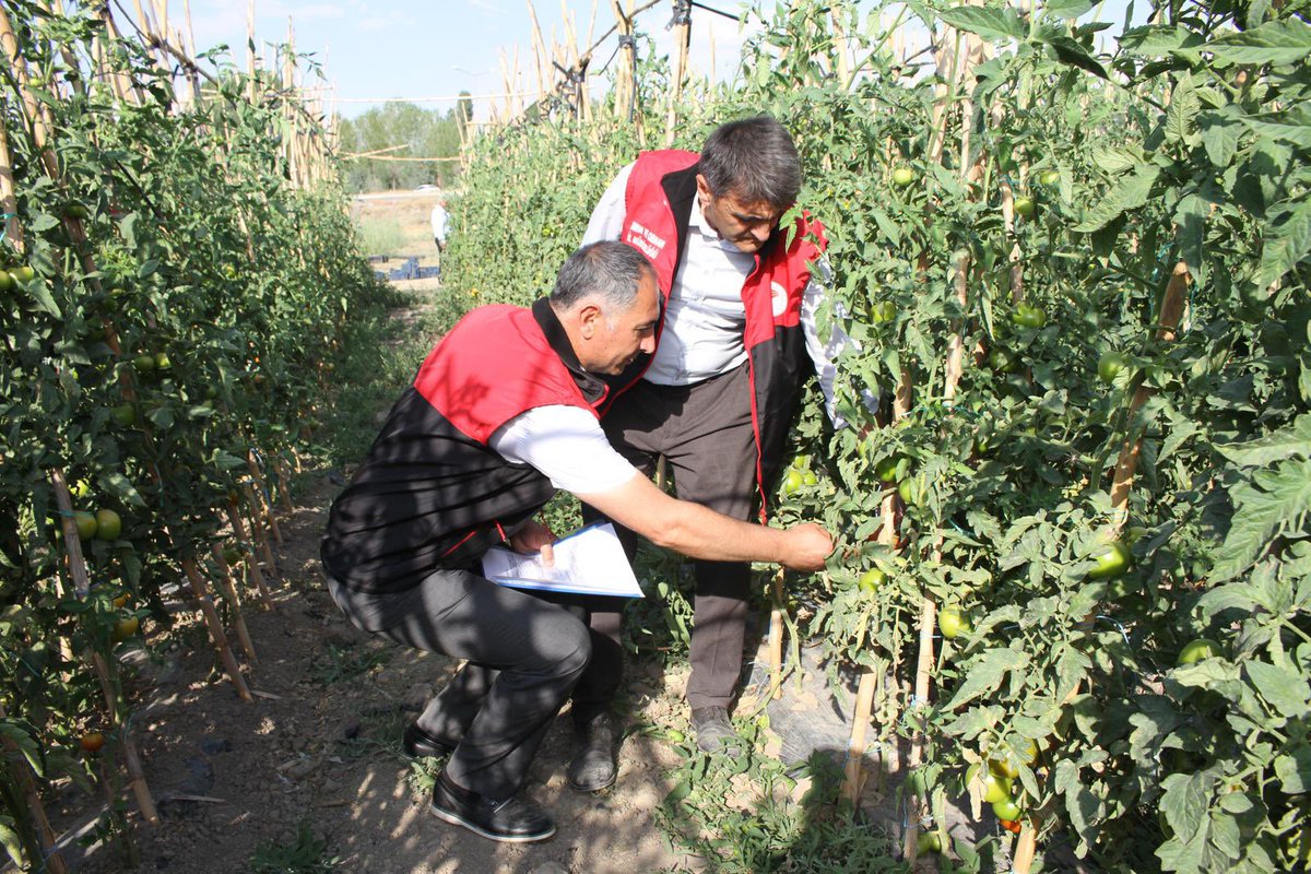 Tuşba İlçe Tarım ve Orman Müdürlüğü (@tusbatarimorman) on Twitter photo Van Milletvekilimiz <a href="/K_Turkmenoglu_V/">KAYHAN TÜRKMENOĞLU</a> , İl Müd <a href="/trgyssmn/">Turgay ŞİŞMAN</a> İl Müd Yrd Abdülkerim Yücel ve İlçe Müd <a href="/bulentveziroglu/">Bülent VEZİROĞLU</a> ilçemizde sebze üretim alanlarını Et Süt Kurumunu ve Memba Mantar İşletmesini ziyaret etti <a href="/tcvanvaliligi/">T.C. Van Valiliği 🇹🇷</a> <a href="/KaymakamlTusba/">Tuşba Kaymakamlığı</a> <a href="/etvesutkurumu/">Et ve Süt Kurumu</a> Van Milletvekilimiz <a href="/K_Turkmenoglu_V/">KAYHAN TÜRKMENOĞLU</a> , İl Müd <a href="/trgyssmn/">Turgay ŞİŞMAN</a> İl Müd Yrd Abdülkerim Yücel ve İlçe Müd <a href="/bulentveziroglu/">Bülent VEZİROĞLU</a> ilçemizde sebze üretim alanlarını Et Süt Kurumunu ve Memba Mantar İşletmesini ziyaret etti <a href="/tcvanvaliligi/">T.C. Van Valiliği 🇹🇷</a> <a href="/KaymakamlTusba/">Tuşba Kaymakamlığı</a> <a href="/etvesutkurumu/">Et ve Süt Kurumu</a>